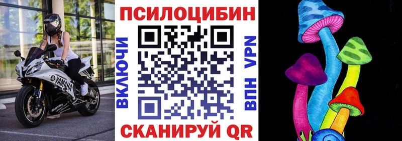 Купить где  Суворов  Псилоцибиновые грибы прущие грибы 